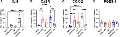 The calcium-sensing receptor modulates the prostaglandin E2 pathway in intestinal inflammation